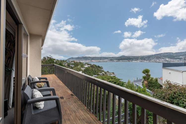 40 Shandon Road Waverley_33