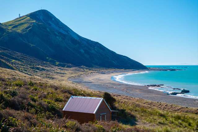 7611 State Highway 1 Ward_1