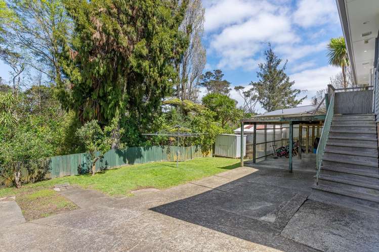 64 Taupo Street Green Bay_28