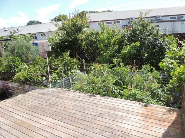 6a Park Street Morrinsville_11