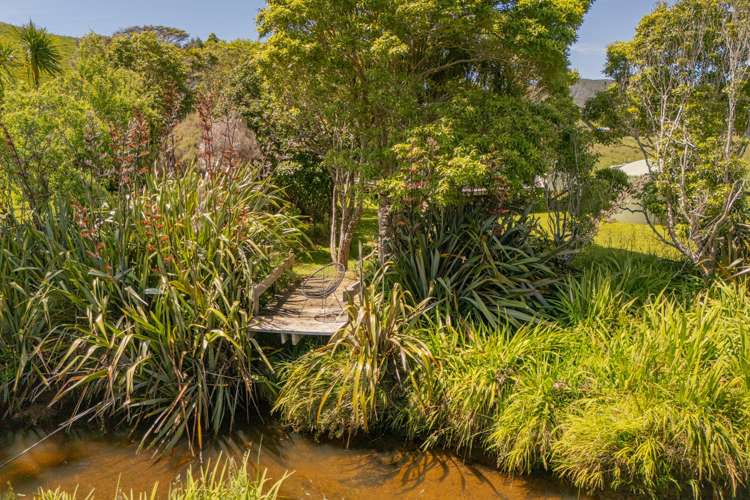 248 Sh25 Kuaotunu_10