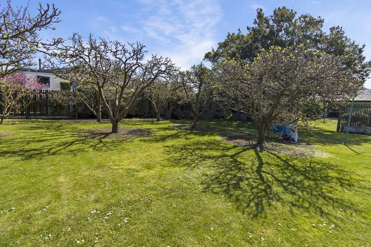 87 Afghan Street Pleasant Point_22