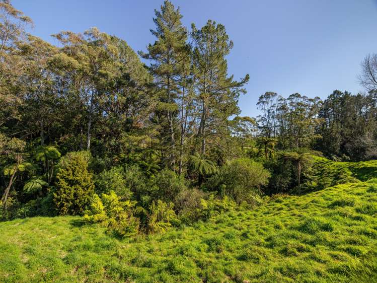 196 Whakamarama Road Whakamarama_27