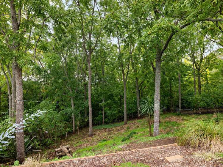 631 Peacockes Road Rukuhia_20