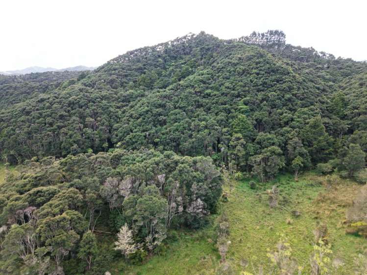 107 Wells Road Kaitaia_21