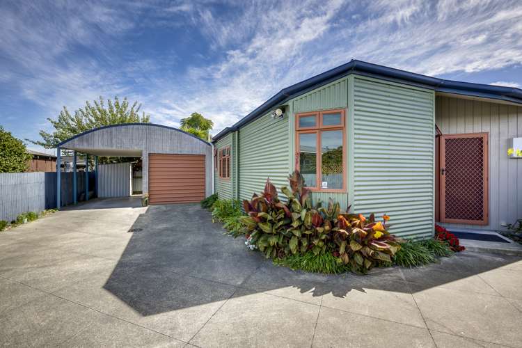 28a Balliol Avenue Pirimai_19