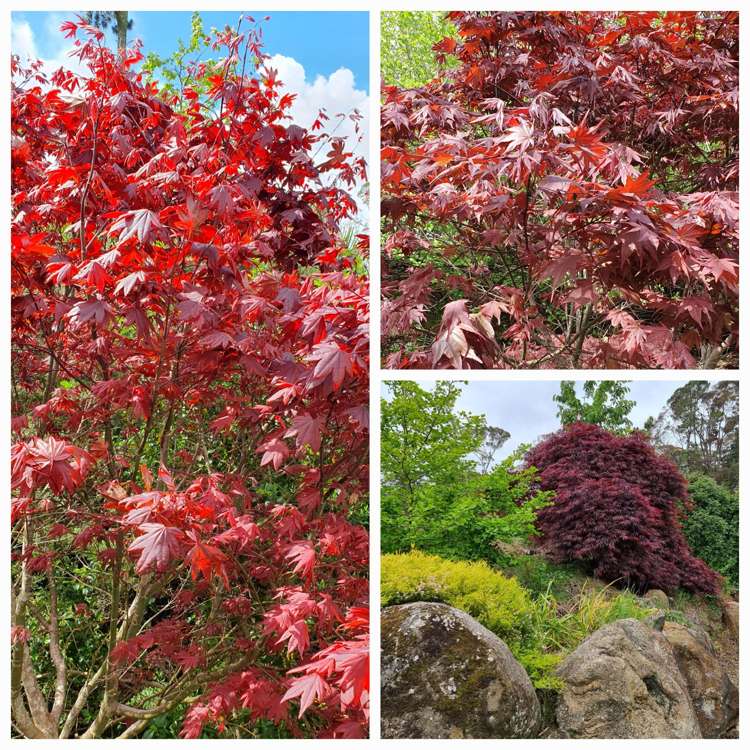 128E Mauku Road Patumahoe_31