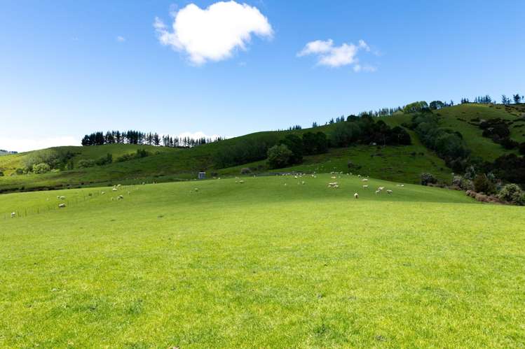 281 Tadmor Valley Road Tapawera_19