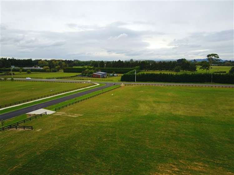 8 Margot Lane Matangi_14