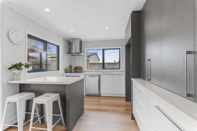 25B Karaka Street Merrilands_2