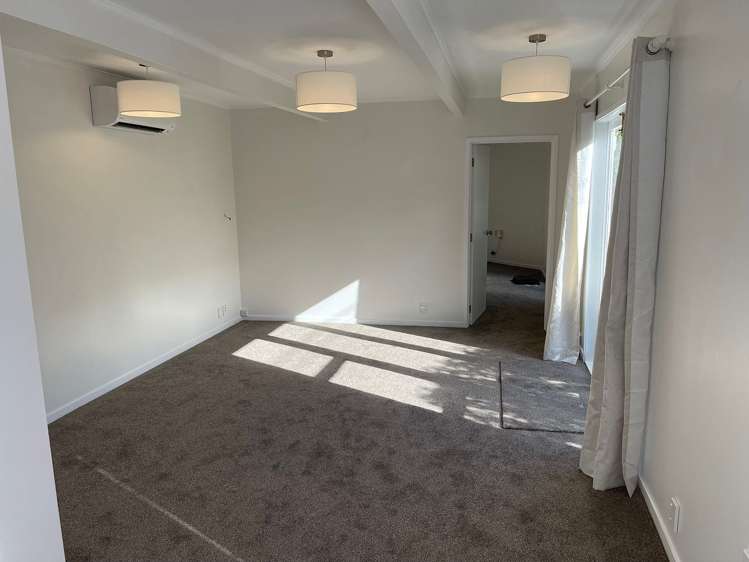40B Crummer Road Grey Lynn_7
