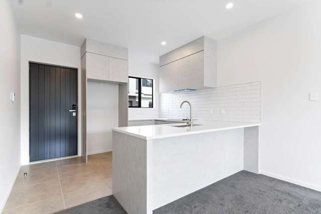 176C Princes Street West Pukekohe_4