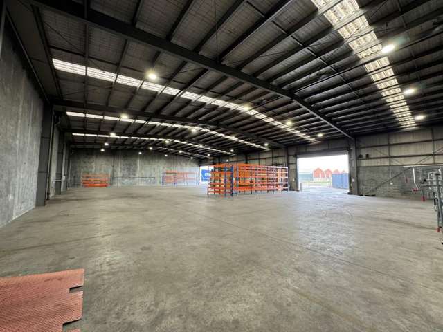 112B Kaimanawa Street Kelvin Grove_4