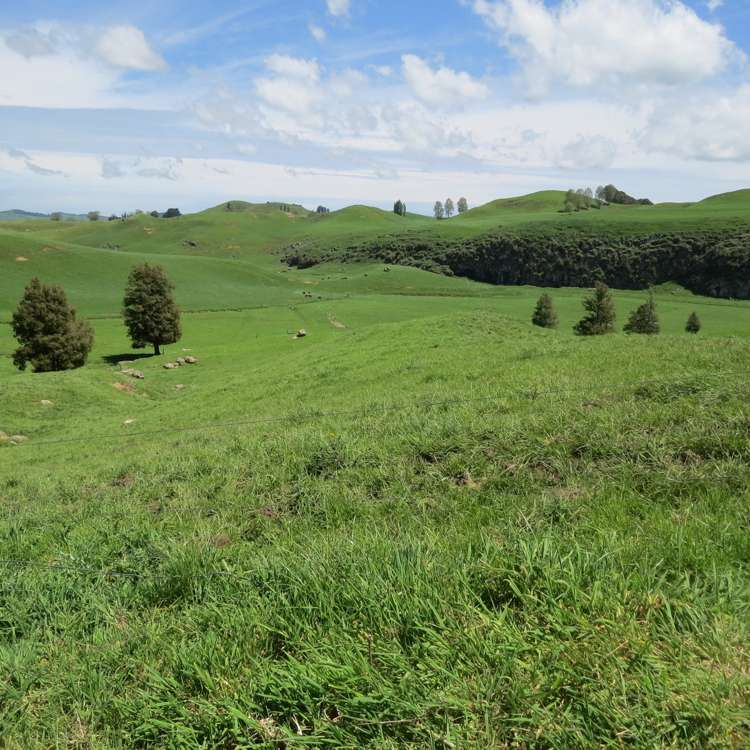 Kahuwera Road Piopio_13