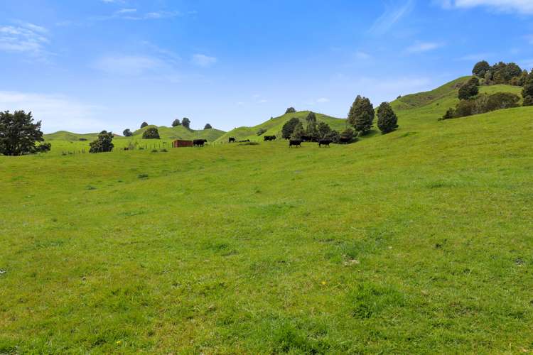 205 Tunanui Road Owhango_9