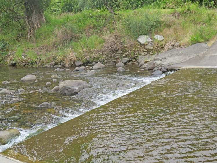 20 Tapu Coroglen Road Tapu_15