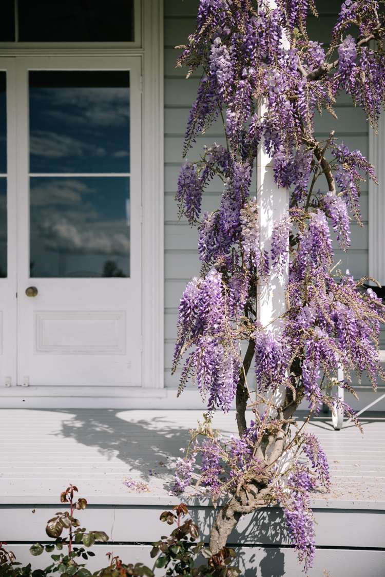 'Cape South' - 55 Waipuka Road Waimarama_33