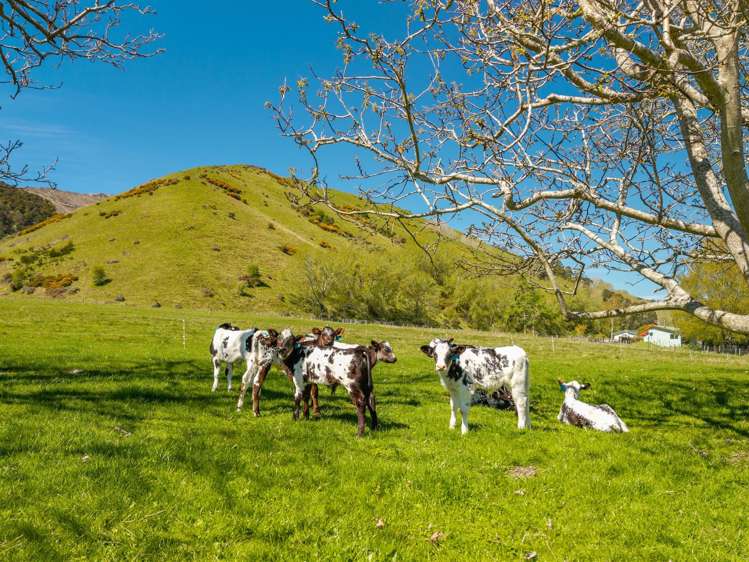 14 Totara Street Tapawera_2