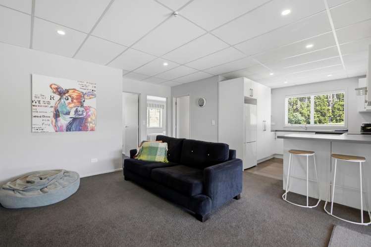 374 Youngson Road Whakamarama_13