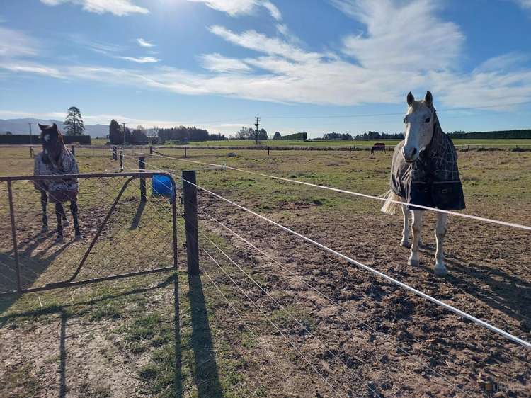 8 Minnie Street Waimate_13