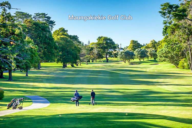 47 & 49 Gilletta Road Mt Roskill_16