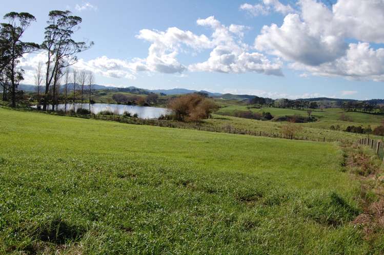 96 Rangiora Road Kaiwaka_6