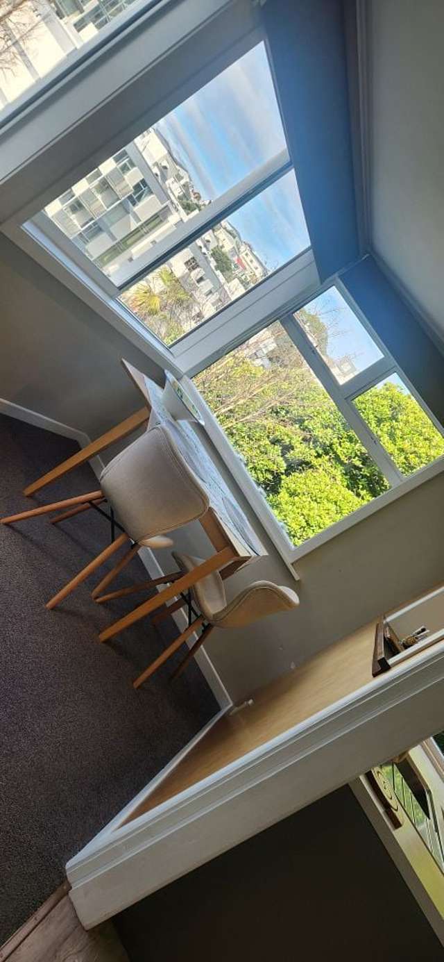 41A Ohiro Road Aro Valley_1