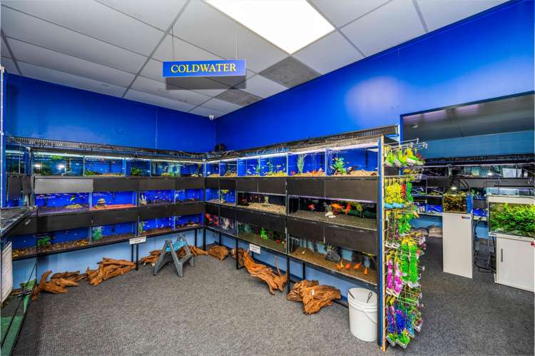 10/2 Tawa Drive Albany_5