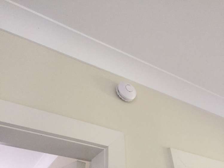 21 Rhys Avenue Huntington_1