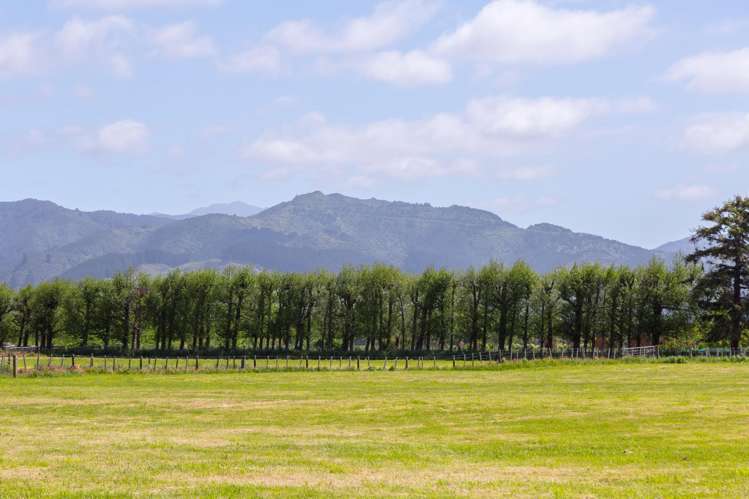 228B Wood Street Greytown_11