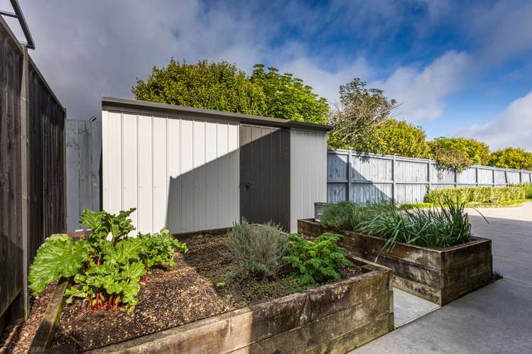 15b Goble Road Clarks Beach_19