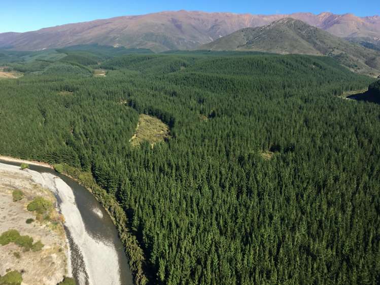 State Highway 63 Renwick_4