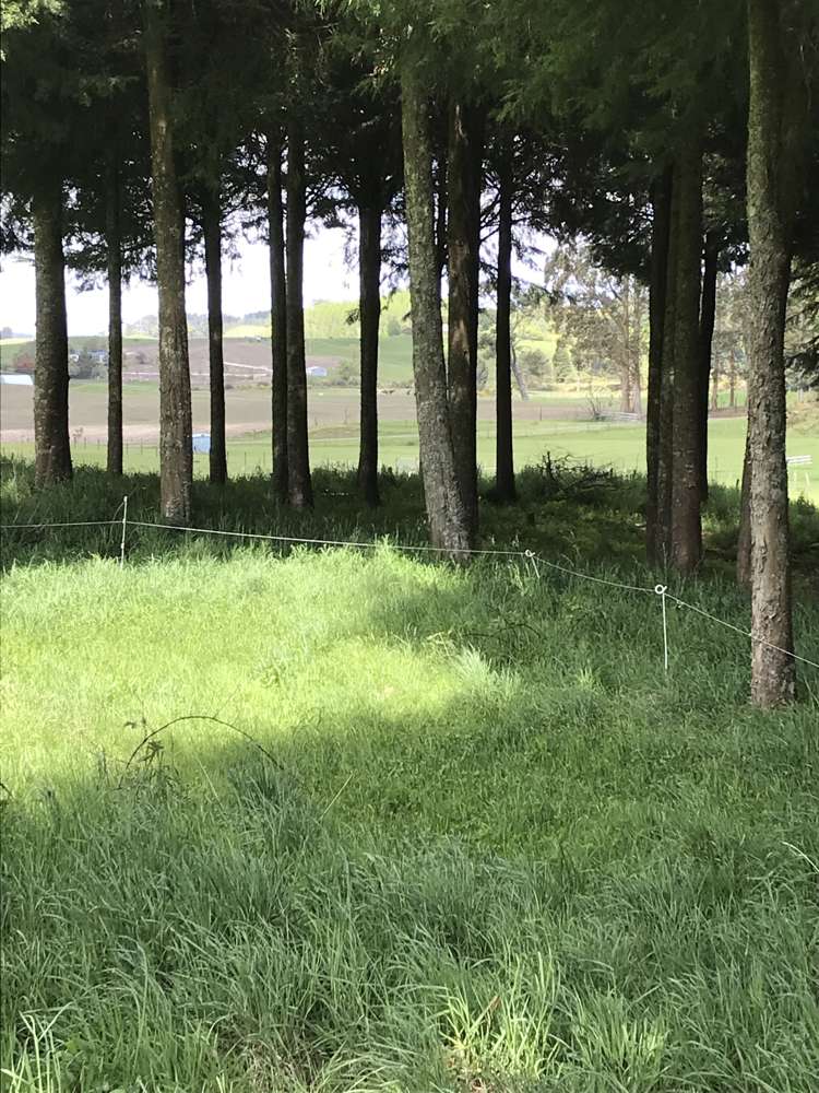 67 Tangye Road Oruanui_7