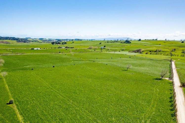 455 West Coast Road Te Kopuru_13
