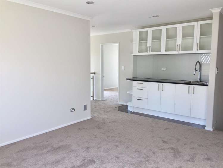 9 Tinaku Road Flat Bush_13