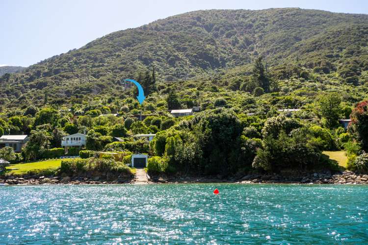 4 The Pines Marlborough Sounds_3