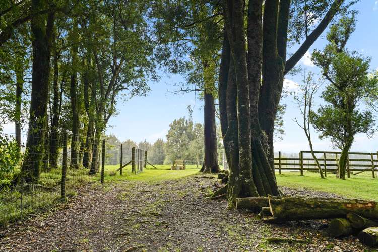 387 Tauranga Direct Road Hamurana_37