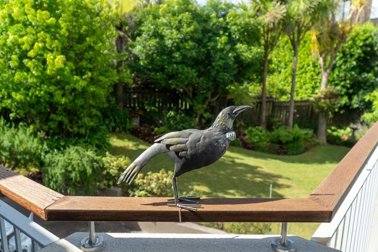 8 Kilduff Place Mairangi Bay_19