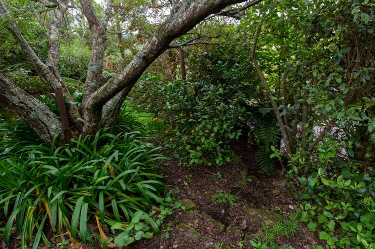 2 Florey Heights Springfield_28