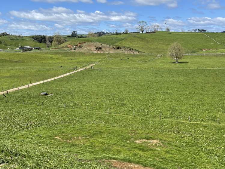 27 Mcrae Road Otorohanga_15