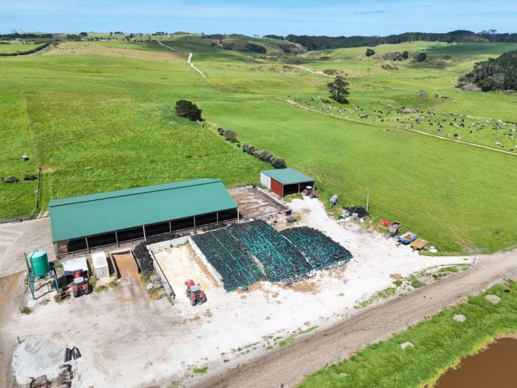 454 West Coast Road Te Kopuru_10