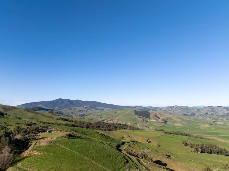 90 Tirohanga Road Rotoorangi_5