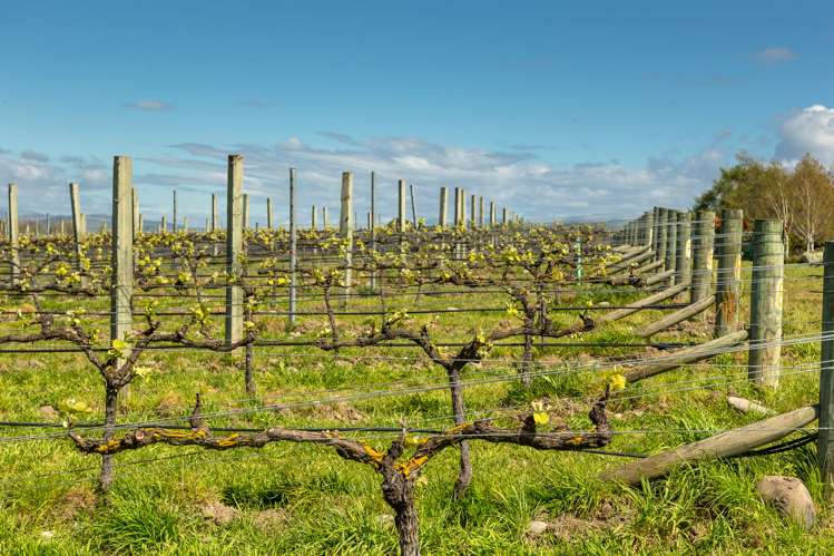 15 Boyces Road Rapaura_3