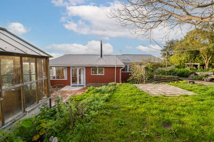 264 Mount Pleasant Road Mount Pleasant_22