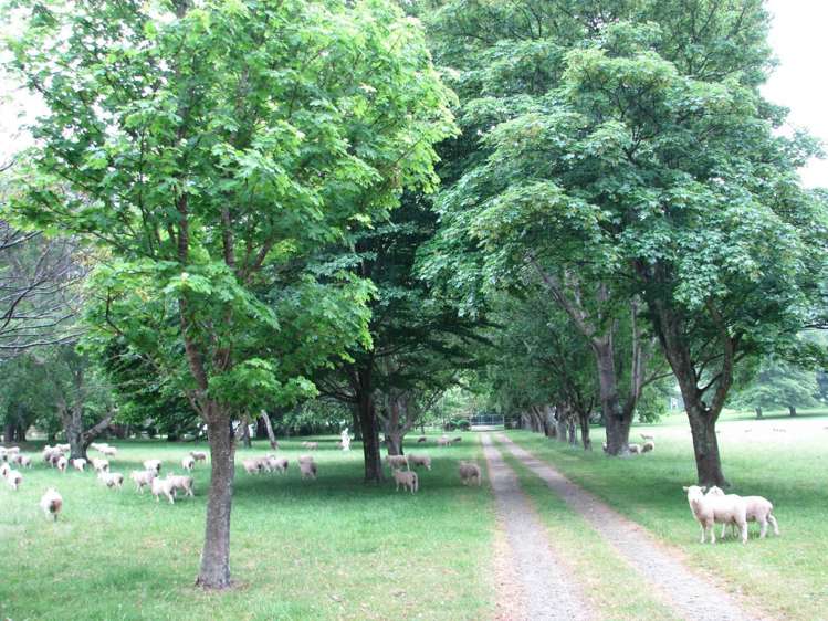 5742 Kenepuru Road Kenepuru Sound_15