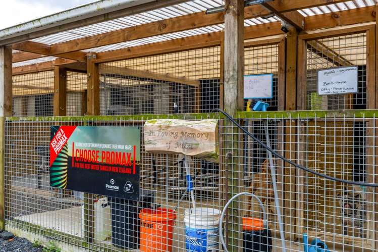 2 Cowan Bay Road Warkworth_17