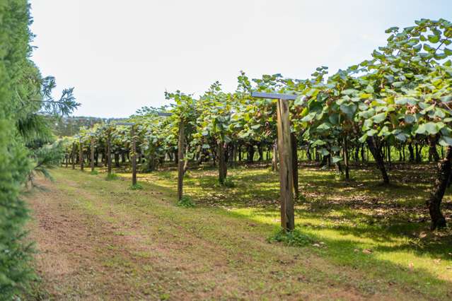 116 Tuapiro Road Tahawai_2