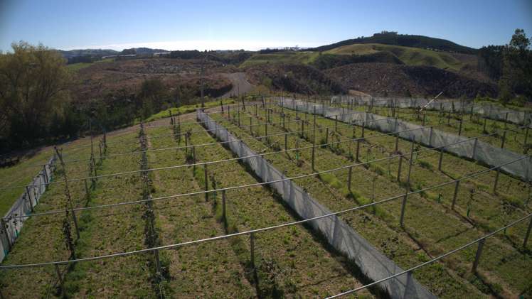 307 Campbell Road Pukehina_23