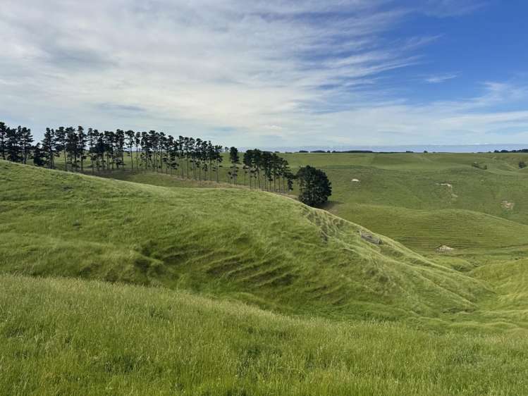 302 Bruce Road Turakina_12