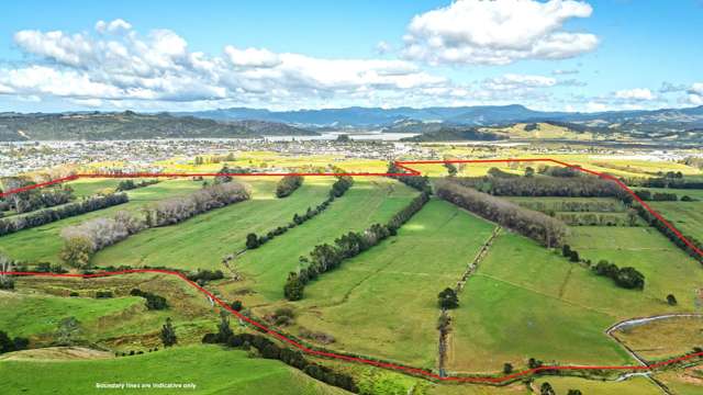 55 and 92 Racecourse Road Whitianga_2